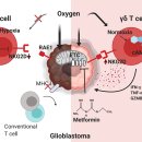 TL 동물병원 이미지