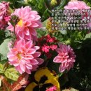 새터마을협동조합 이미지