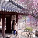 묵계서원