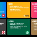 유니버스연회비