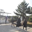 샨티