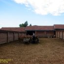 길림농장 이미지