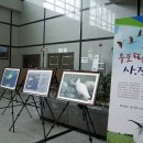 우포따오기 사진전 이미지