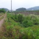 황간면 신탄삼거리 이미지