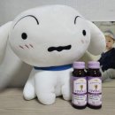 포커스학원 | 나를 위한 멀티비타민추천 "멀티비타민12비타큐 포커스" 후기