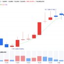 12/2 상한가분석