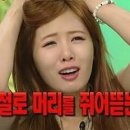 더에스핏 이미지