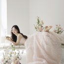 케이트스튜디오 이미지