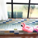 제주아이노스 이미지