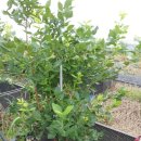 지재농장 이미지