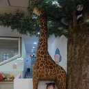 꼬마대통령 이미지