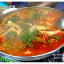 싱싱어시장 이미지