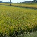 동강면사무소 이미지