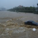 폭우의하천(오늘오전 대전 갑천지류에서~) 이미지