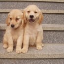 알콩달콩 이미지