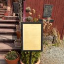 더왈츠 | 남양주 북한강 뷰 '왈츠와 닥터만' 주말 런치 코스 후기