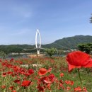 요산공원 | [세줄후기][장소] 요산공원(전북 임실) ★★☆