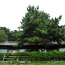 죽도 이미지