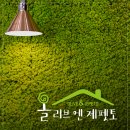 올리브엔제펫토 - 고양시 일산서구 강성로 147 | 올리브엔제펫토
