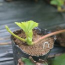 반디별펜션 이미지