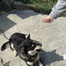 트릿츄잇 이미지