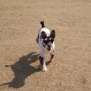 개린이 집합소 이미지