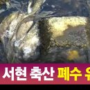 서현축산 이미지