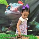 신기한나라어린이집 이미지