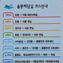 나리분지 깃대봉 알봉 나리분지 1) 이미지