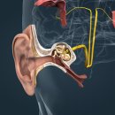 우리사랑 이비인후과 이미지