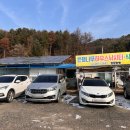 은행나무하우스낚시터 이미지