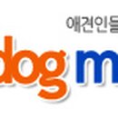 도그팡 이미지