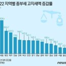 종부세 기사 이미지