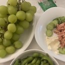 종로-연건-종로-연-267 | 2024 12 下