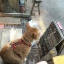 메인치과기공소 이미지