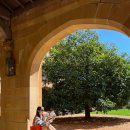 people puppy | 시드니 대학교 포토스팟 추천 | 평일·주말 비교 &amp; 굿즈 정보