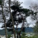 하슬라농장 이미지