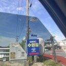 일영 | [양주] 일영랜드 수영장 주말 솔직후기 취사가능수영장 평상대여 서울근교물놀이