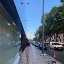 (유)동 호 | 스페인 포르투갈 여행 ep.12_마지막 /포르투 시내 워킹투어