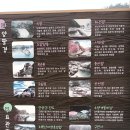 단양구경시장3 이미지