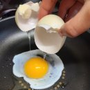 산골기러기 Daum카페