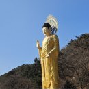 소나무스포츠