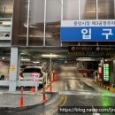 대전 중앙시장 맛집 대전역 근처 베트남 쌀국수 전문점 메콩강쌀국수