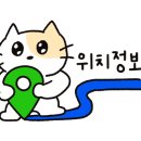 키튼히얼 고양이분양 김포본점 이미지