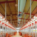 하라한우농장 이미지