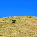 나는 희망한다 이미지