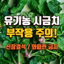 (주)한국유기농 | 유기농 시금치 부작용 완전 정리! 신장결석+와파린 주의+제주 안전 섭취법