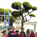 구룡초등학교(병설) 이미지