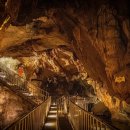 김창규농장 이미지