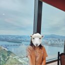 백리향 | 63빌딩 백리향 돌잔치 하객 후기 하객룩